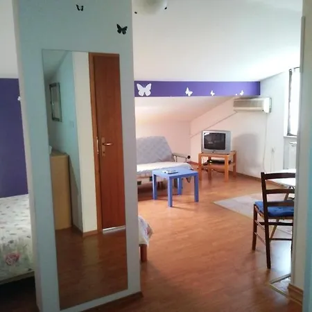 Apartament Milica *